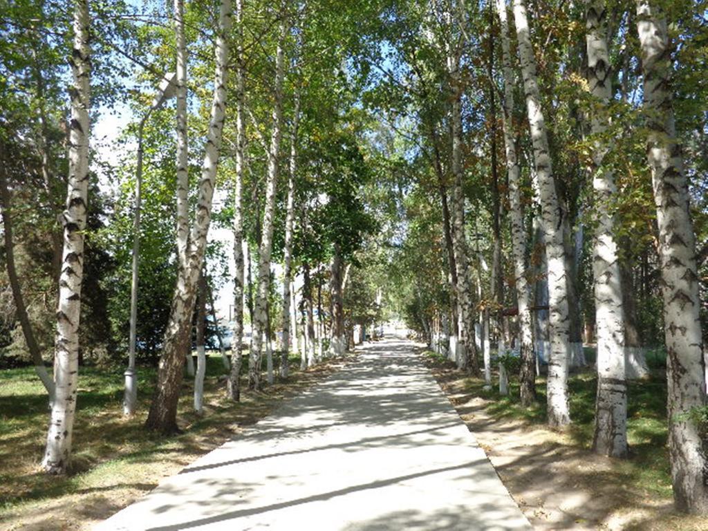 Guest House At Do Altyn - Kum Chon-Sary-Oy Zewnętrze zdjęcie